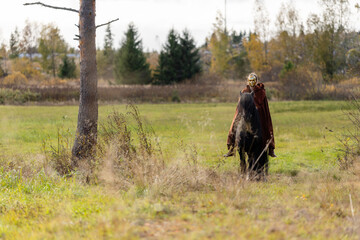 Obraz premium Icelandic horse ghostrider