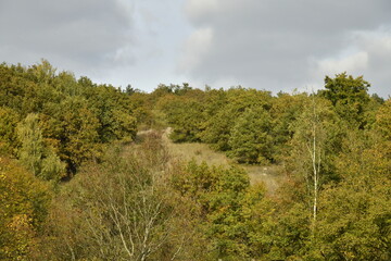 Obraz premium Les couleurs de l'automne sur une colline boisée sous le soleil à Sosoye (Anhée-Dinant)