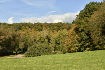 Beauté de l'automne d'une forêt au parc du domaine de l'abbaye de Maredsous à Anhée (Dinant) 