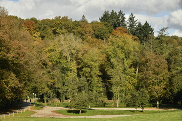 Beauté de l'automne d'une forêt au parc du domaine de l'abbaye de Maredsous à Anhée (Dinant) 