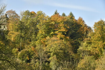 La forêt en automne dominant le village de Sosoye (Anhée-Dinant)