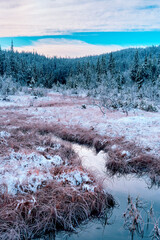 The outflow of Olterudelva River from the Tjuvåstjernet Lake, part of the Totenåsen Hills, Norway, in October 2025.