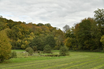 Prairie au fond de la vallée entourée de collines boisées en automne à Sosoye (Anhée-Dinant)