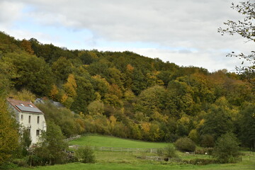 Prairie au fond de la vall&eacute;e entour&eacute;e de collines bois&eacute;es en automne &agrave; Sosoye (Anh&eacute;e-Dinant)