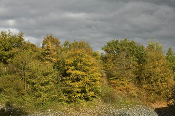 Fototapeta premium Les couleurs de l'automne sous une éclaircie par temps gris d'une forêt à Sosoye (Anhée-Dinant)