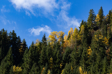 amazing autumn landscape with colorful trees