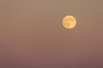 Beautiful full moon illuminating a soft pale pink rose-colored background, creating a serene and enchanting night scene
