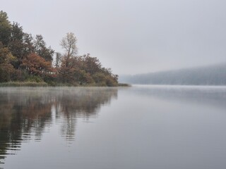 Foggy autumn morning at Mindelsee lake in Baden-Württemberg, Germany. Calm reflections of colorful trees along the shoreline in a peaceful nature reserve landscape.