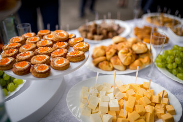 Wedding buffet with appetizers and cheese. Close-up of wedding buffet table with cheese, snacks, red caviar tartlets and grapes during reception