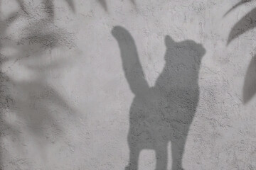 Abstract Pink Liquid Wave Motion Background | Gradient Flow Animation | 4K Loop