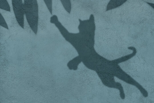 Abstract Pink Liquid Wave Motion Background | Gradient Flow Animation | 4K Loop