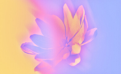 ethereal neon blurry floral abstract art with soft pink flower on pastel gradient background