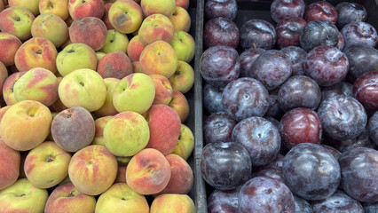Peaches (yellow-green and red) and plums (dark purple) displayed in bulk. Fresh fruits on display for sale at a market or fair, separated by a divider.