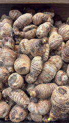 Vertical close-up of bulk yams (or taro, tubers) piled up for sale at a market or fair. Brown, fibrous peel with visible grooves and some green sprouts.