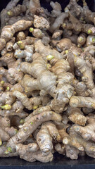 Vertical close-up of bulk ginger rhizomes (Zingiber officinale) piled up for sale at a market or fair. Brown, knotty peel with visible green sprouts.