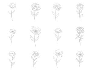 Delicate Botanical Outlines: A Collection of Floral Illustrations in Gray Tones
