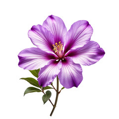 Digitally painted vibrant purple flower with detailed petals and green foliage