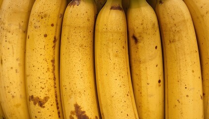 Abstract Yellow Curves, Textural Dots and Surface Imperfections, Close Up Still Life.