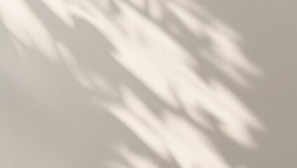 Naklejka premium Gentle Shadows Play on a Textured Wall, Creating an Abstract Visual Harmony.