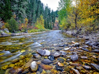  Small river flows through trees in autumn.