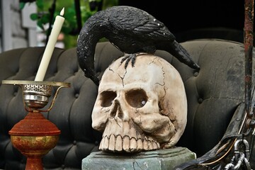 A scary Halloween skull has a black bird on its head