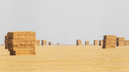 Bales of hay in field in summer  © Miguel Ángel RM