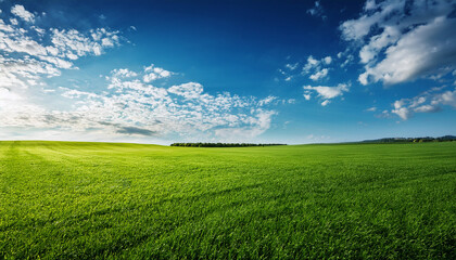 Fototapeta premium Vibrant Green Grass Stretches Under A Clear Blue Sky With Fluffy Clouds During A Sunny Afternoon