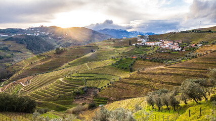 The Douro valley with the terraced vineyards - Portugal