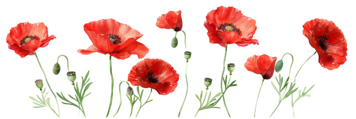 A vibrant arrangement of red poppy flowers swaying gently in a soft breeze, set against a clear blue sky, symbolizing beauty and nature's resilience