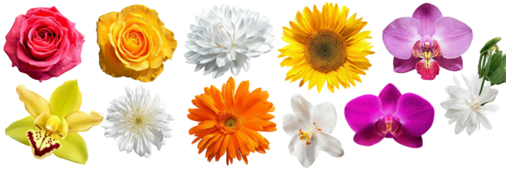 A vibrant arrangement of various flowers including roses, daisies, sunflowers, and orchids, showcasing their colors and forms against a transparent background, ideal for decorative or botanical use