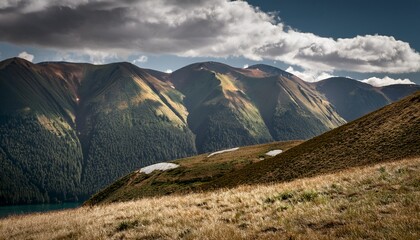 Vintage Motorcycle Club Jacket Design Collection