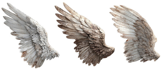 Obraz premium Three distinct pairs of angelic wings showcasing varying textures and colors, set against a transparent background, ideal for fantasy art, illustrations, or creative projects