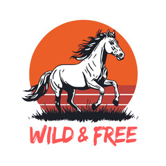 Graceful white horse running through grassy field against vibrant sunset