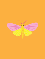 A vector art of a colorful moth. 