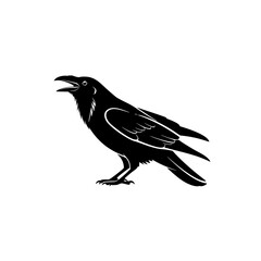 Fototapeta premium A captivating graphic silhouette of a raven, with its distinctive dark plumage and sharp beak, poised in an alert stance. It's a stark contrast, bringing a touch of mystery. vector illustration