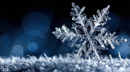 Crystal Clear Snowflake on Frosty Surface with Blue Background