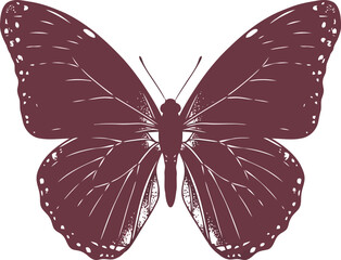 Beautifully detailed dark pink butterfly insect wing pattern symmetry nature wildlife graphic design element vector