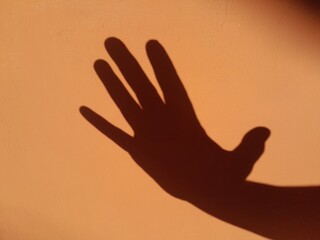 Shadow of palm on the wall