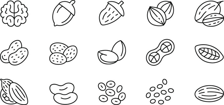 Diverse Collection of Nuts and Seeds in Black and White Outline Style Perfect for Nutrition and Food Related Designs