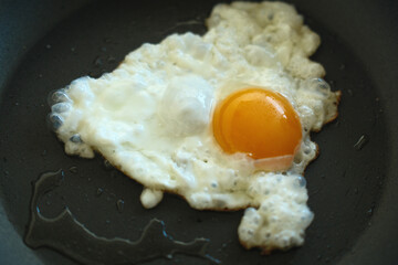 eggs as protein food with cholesterol