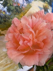 bouquet of peony