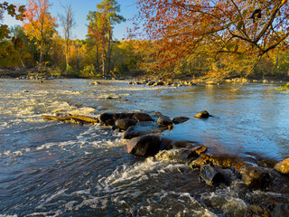 colorful trees by the river in the fall