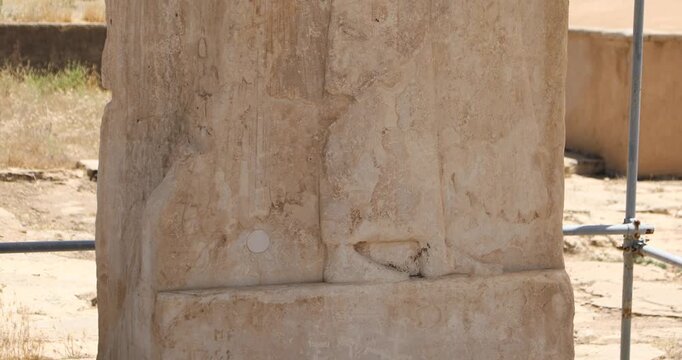 Close-up of the famed winged figure relief at Pasargadae, carved in weathered limestone. Feathered wings and age cracks are visible, with the desert landscape softly blurred behind.
