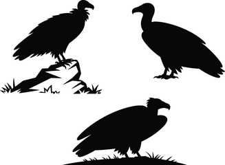 Vulture silhouette illustration, perched and standing poses, black bird shapes, scavenger species artwork, wildlife concept, minimal design, white background