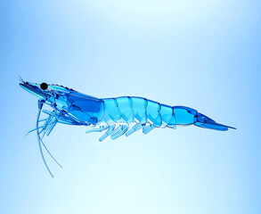 3D White Vannamei Shrimp, Translucent like Blue Glass: Fantasy and Futuristic Art Image
