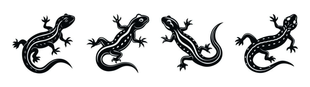 Four black and white lizard vector illustration reptile gecko salamander animal design graphic art tattoo style drawing