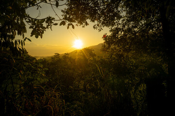 Sunrise over the mountains with trees in the foreground and warm golden light illuminating the landscape