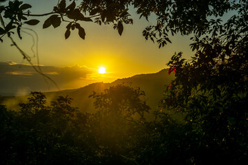 Sunset view over mountains with trees framing the scene during golden hour in a serene landscape