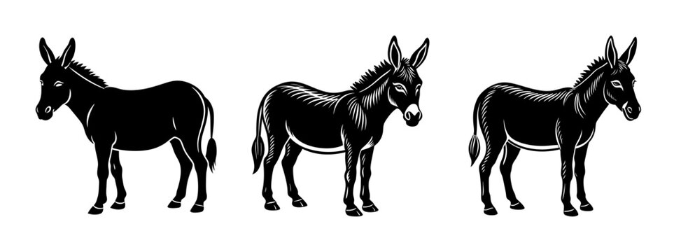 Three black donkeys vector illustration, farm animals, livestock, equine, mule, donkey clip art, mammal