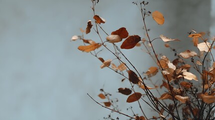 Sparse dried foliage shows rich brown and pale yellow tones against a muted cool background